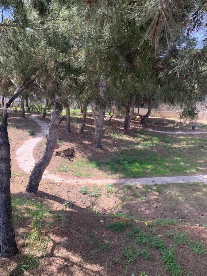 Apartamento De Ensueno Daire Garrucha Dış mekan fotoğraf